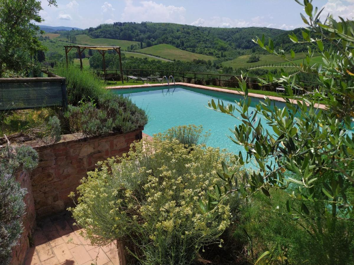 Antonella House -Podere Della Collina Палайя Екстер'єр фото