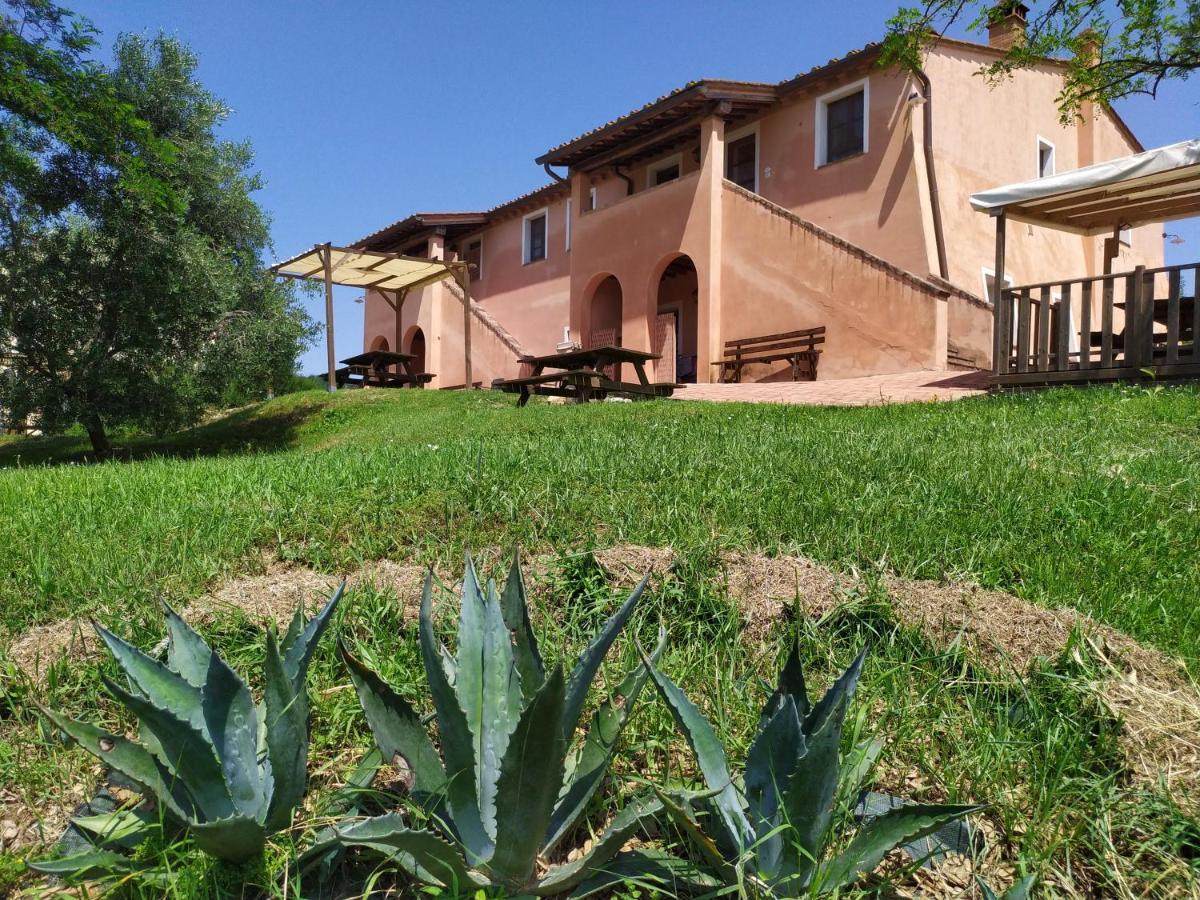 Antonella House -Podere Della Collina Палайя Екстер'єр фото
